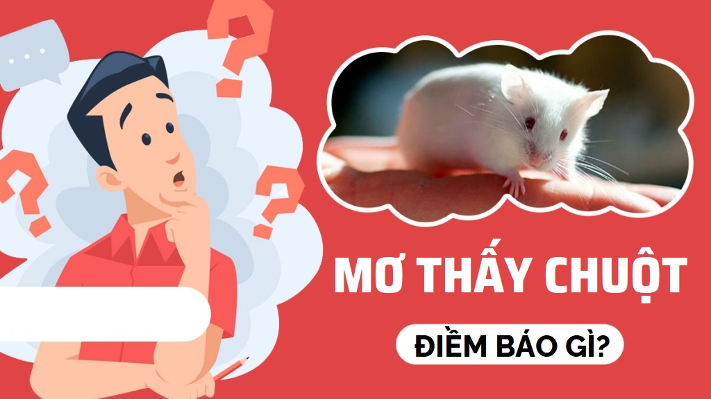 Giải mã giấc mơ mơ thấy chuột và con số may mắn cùng Debet