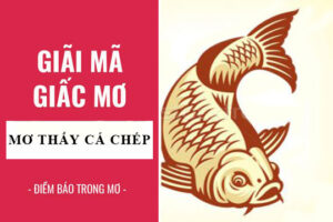 Giải mã giấc mơ thấy cá chép và những điềm báo bí ẩn từ tiềm thức – Cùng Debet khám phá