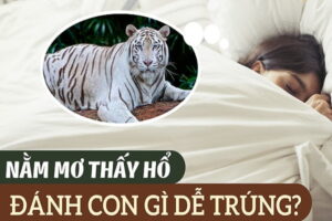 Giải Mã Giấc Mơ Thấy Hổ: Điềm Báo và Con Số May Mắn