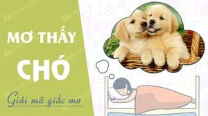 Mơ Thấy Chó Đánh Con Gì Để Trúng Lớn? Cùng Debet Giải Mã Chi Tiết