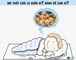 Mơ Thấy Chó Đánh Con Gì Để Trúng Lớn? Cùng Debet Giải Mã Chi Tiết