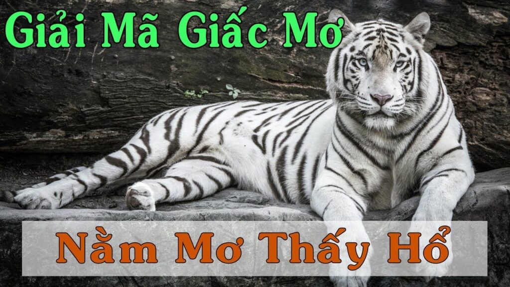 Giải Mã Giấc Mơ Thấy Hổ: Điềm Báo và Con Số May Mắn